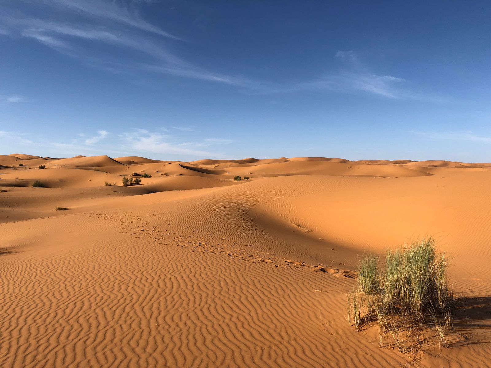 Sand dunes in late light — Spring Valley, Nevada