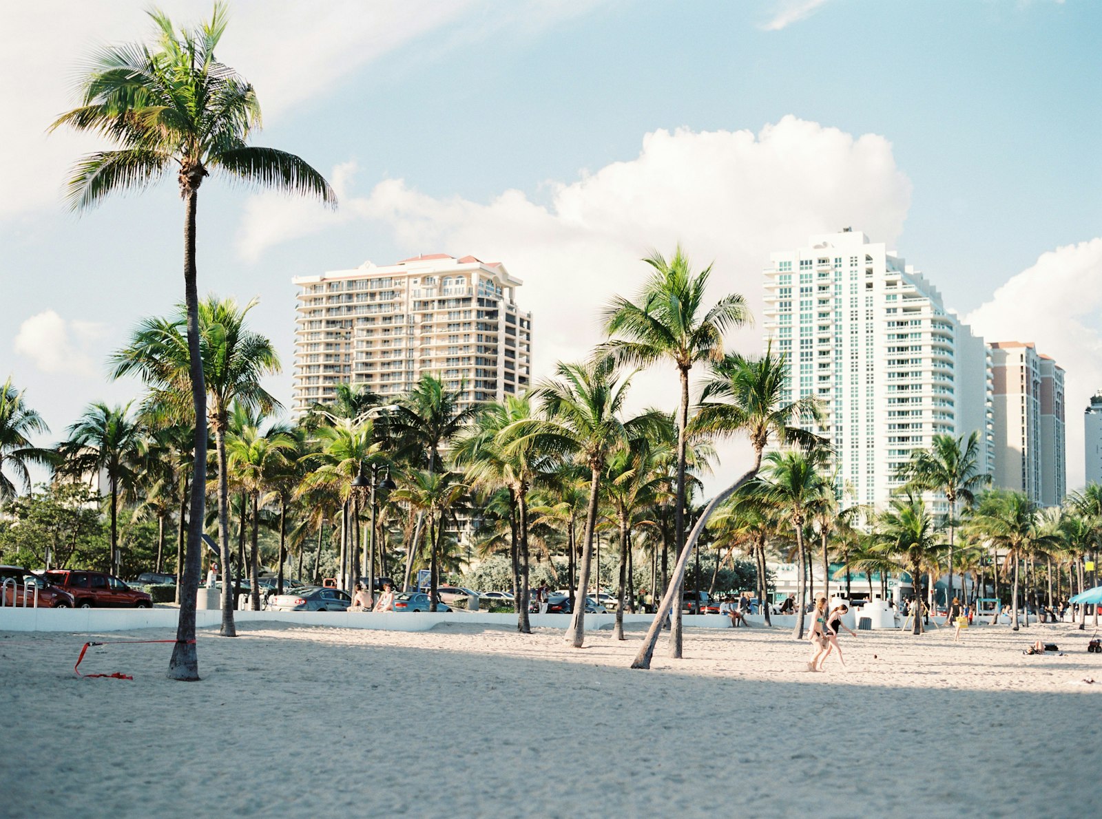 Miami Beach and palms — Miami, Florida