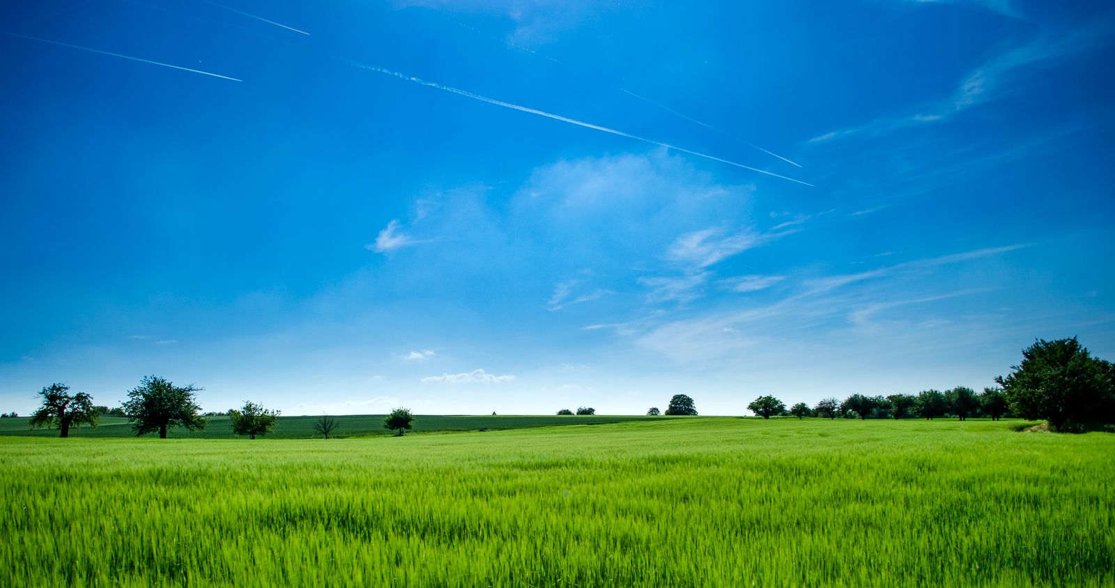 Open countryside fields — Springfield SR22