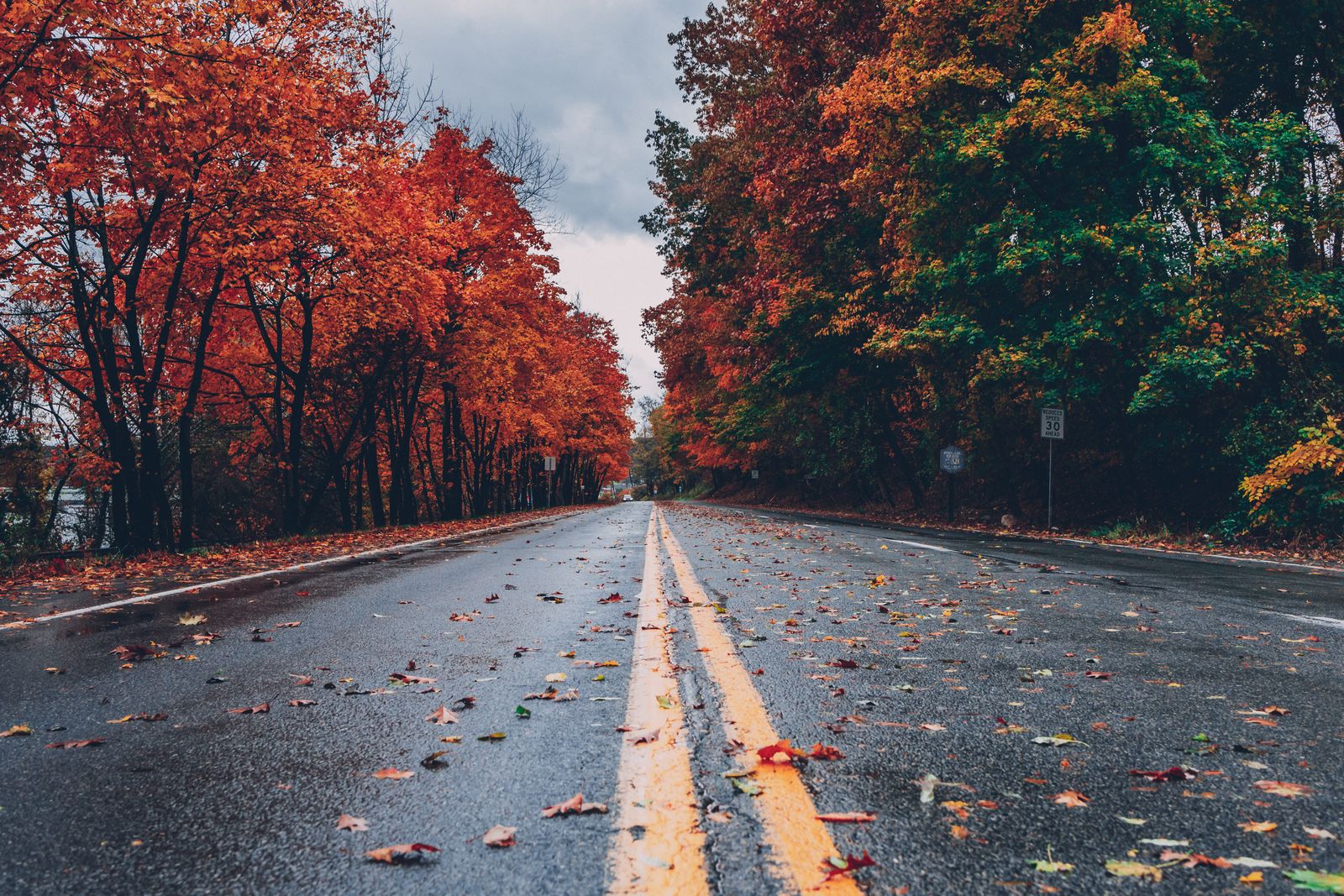 Autumn trees in a park — Alva, Florida